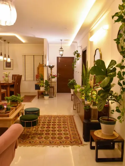You can never have too many plants! A view of my living room from behind a fiddle leaf fig, showing how greenery fills every corner.