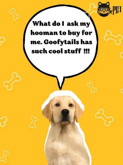 Even dogs know where to find the good stuff. We stock a wide variety of fun and tasty products from Goofy Tails that your pet is sure to love.
