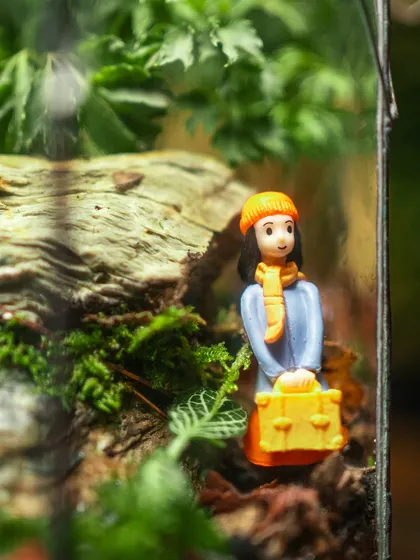A close-up of the traveler figurine with her yellow suitcase, standing amidst the mossy terrain. These little details are what make my terrariums so special and personal.