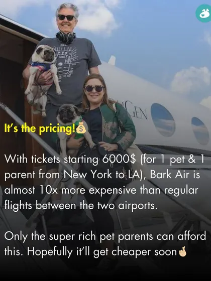 The biggest catch with Bark Air is the pricing. With tickets starting at $6000, it's currently only accessible to the super-rich.