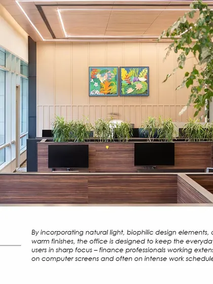 An excerpt from our Society Interiors feature, explaining how we incorporated natural light and biophilic elements to keep finance professionals focused and well.