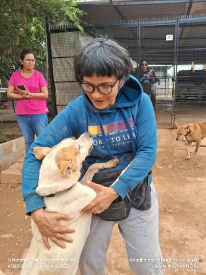 A visitor meets a very clingy new friend. The connections made during our Open Farm Days are truly heartwarming.