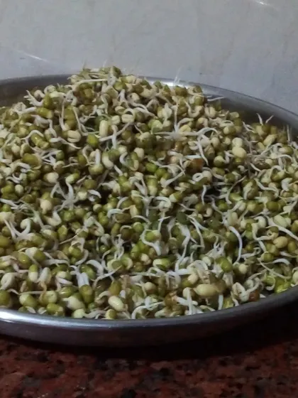 More sprouted moong. A simple, healthy, and powerful food that is a staple in my diet to support my training.