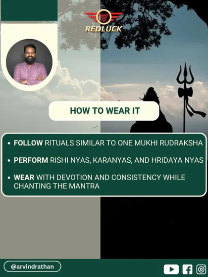 The rituals for wearing a Two-Faced Rudraksha are similar to those for a One-Faced one. It requires performing Rishi Nyas, Karanyas, and Hridaya Nyas with devotion and consistency while chanting the associated mantra.