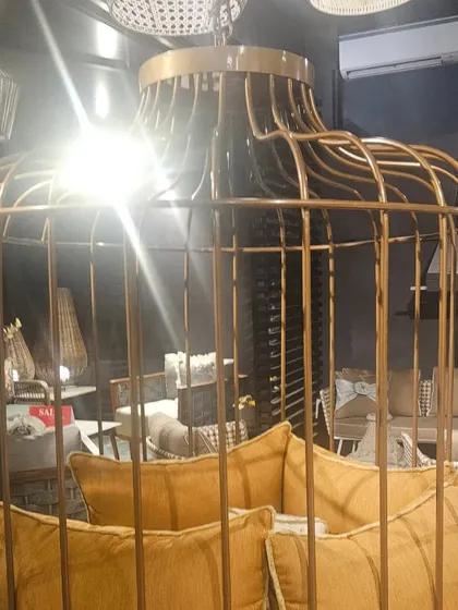 A unique birdcage-style seating pod. This piece is a conversation starter and provides a cozy, semi-private space to relax in.