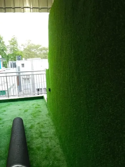 A view from inside the green room looking out. The dense grass on the wall provides a great backdrop and a very distinct feel.