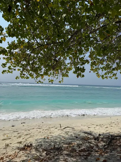More glimpses from our unforgettable Lakshadweep retreats. Every moment is a postcard, from sunrise dives and full moon dinners to candid conversations and quiet naps on the beach.