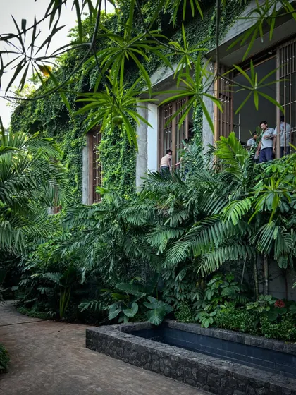 The monsoon brings the landscape at Villa Toshi to life. The lush greenery, including a vertical garden climbing the walls, helps to cool the building and integrate it into the tropical environment.