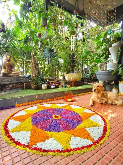 A beautiful Onam Pookalam (flower rangoli) on our patio, with our golden retriever Leo guarding it. The flowers are all from our garden.