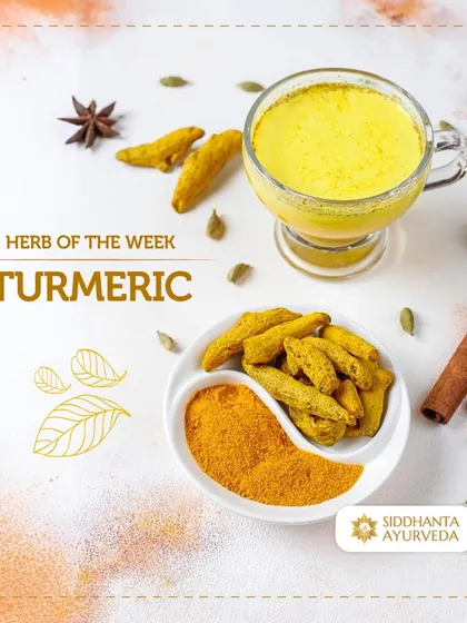 This week's featured herb is Turmeric, a powerful anti-inflammatory spice. I often incorporate it into treatment plans to help ease joint pain and boost the body's natural defenses.