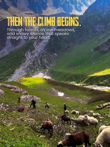 The climb begins. Trekkers ascend through alpine meadows, past grazing sheep, on their way to the higher camps of Friendship Peak.