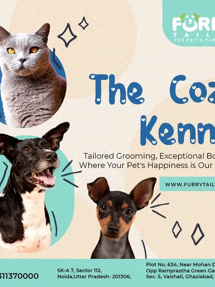 Welcome to The Cozy Kennel, where your pet's happiness is our priority. We provide tailored grooming and exceptional boarding for all kinds of pets, including dogs and cats.