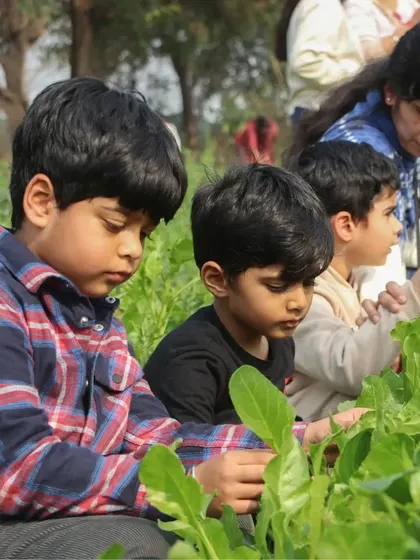 A group of boys kneels down to get a closer look at the leafy greens. I love seeing this level of curiosity and engagement from our young visitors.