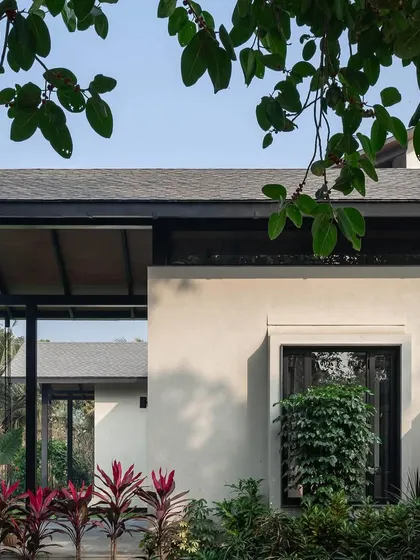 The facade of Grove House, framed by lush green leaves, highlighting its tropical modern character.