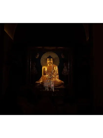 A golden statue of the Buddha sits in a darkened chamber, creating a powerful and contemplative mood. I used the darkness to frame the illuminated statue, emphasizing its importance as a focal point for meditation and reverence.