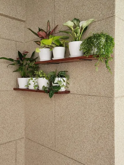 A simple and elegant solution for a small balcony corner. We installed two wooden shelves to hold a collection of small indoor plants in matching white pots, making use of vertical space to create a mini garden without cluttering the floor.