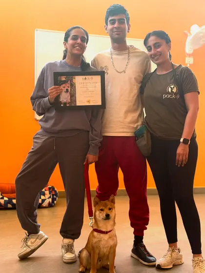Aiko the Shiba Inu and his family on his special graduation day. We worked on building a balanced and meaningful relationship.