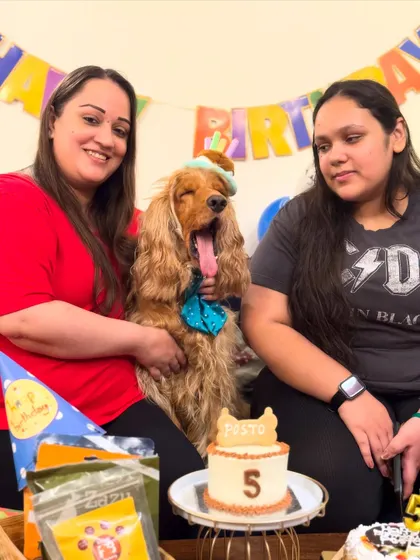 Posto yawning mid-photo during his birthday party with our friends. Being the center of attention is tiring!