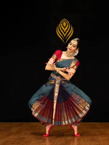 The full fan of the saree is displayed in this classic pose, showcasing the beauty of the traditional costume in motion during a performance.