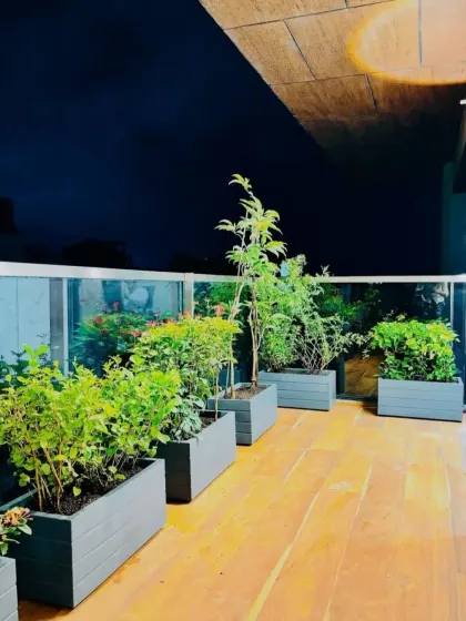 The arrangement of planters on this deck creates a natural flow. We mixed different plant heights and textures, from leafy shrubs to a central feature tree, to add visual interest to the rooftop space.