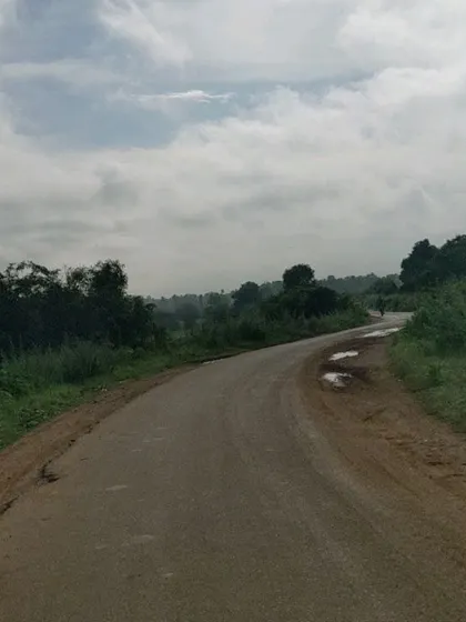 A winding country road disappears into the distance. This is the kind of peaceful, traffic-free riding you can expect on our tours.