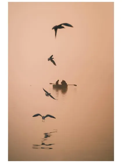 A minimalist composition showing birds flying in a vertical line above a boat on the Yamuna. Their reflections are captured on the water's surface, creating a sense of rhythm and order.