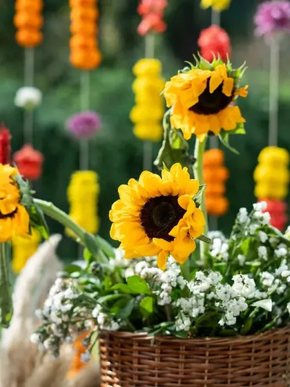 A close-up of the smiling sunflowers, a key element in creating a cheerful and sunny atmosphere for the Haldi ceremony.