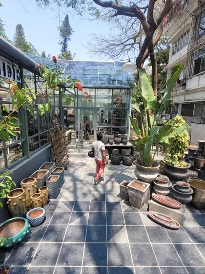 For Beruru's flagship garden store on Lavelle Road, I designed an outdoor space that feels like an urban oasis. The design blends retail display with a lush garden experience, featuring a greenhouse and curated pottery.