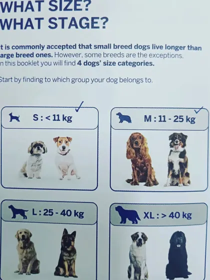 Understanding your dog's size category is important for their nutrition and health management. This simple guide helps you classify your dog, from small breeds under 11 kg to extra-large breeds over 40 kg.