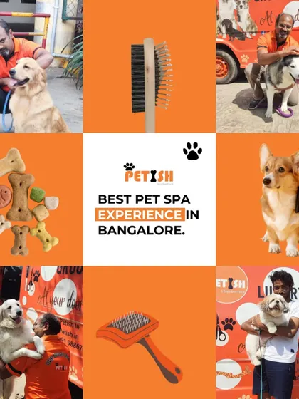 This collage captures the best pet spa experience in Bangalore, from happy groomers with their furry clients to the essential tools and toys that make it all happen.