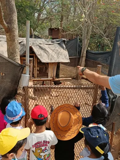 The children eagerly watch the chickens in their coop. Observing animal behaviors is a key part of our nature-based curriculum, fostering respect for all living creatures.