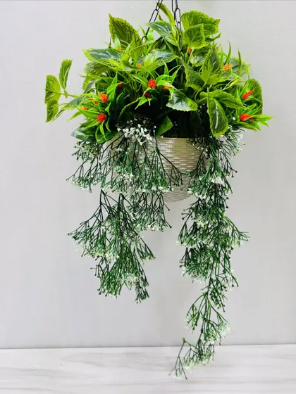 An elegant hanging basket with delicate white trailing flowers and broad green leaves in a white pot.