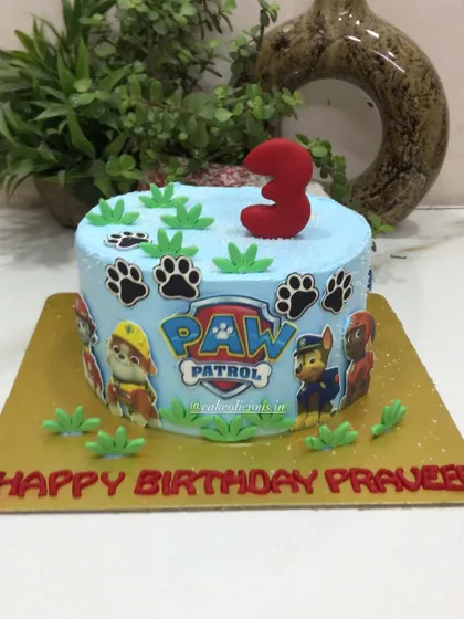 Another shot of the Paw Patrol birthday cake, ready for the party.