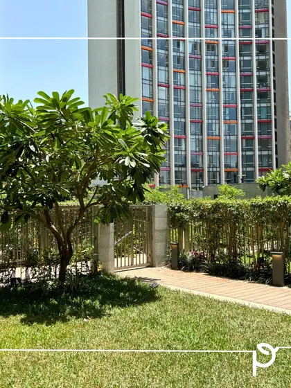 A society garden featuring a lush green lawn, a neatly trimmed hedge, and a native Plumeria tree. This design focuses on creating a pocket-friendly and people-friendly space that is both beautiful and low-maintenance.