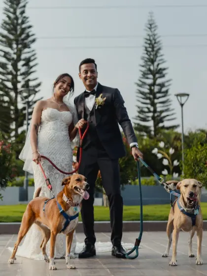 A modern couple includes their beloved dogs in their wedding photos. I love finding ways to make your day personal, and I'm happy to work with pet-friendly venues.