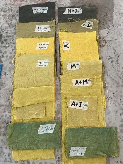 Yellow and green fabric swatches from our students' color experiments. This practical work is essential for understanding the science and art of natural dyeing.