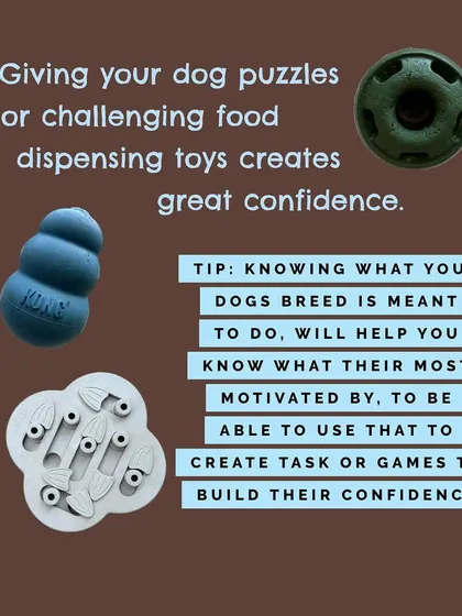 Giving your dog puzzles or challenging food-dispensing toys is a fantastic confidence booster. It engages their brain and allows them to problem-solve.