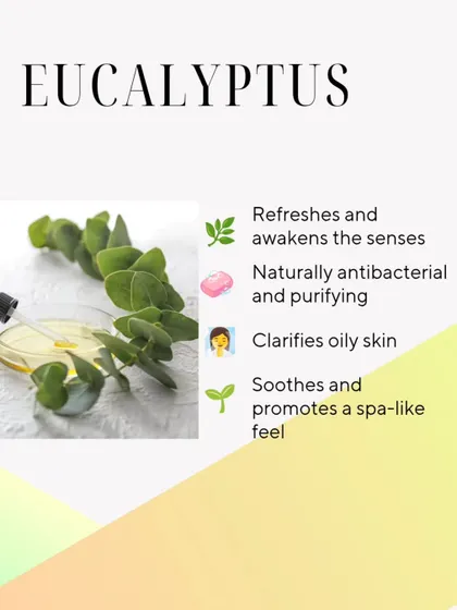 Eucalyptus essential oil is refreshing and purifying. It's naturally antibacterial, helps clarify oily skin, and provides a soothing, spa-like aroma.