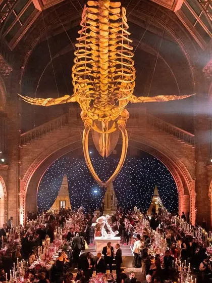 A spectacular sit-down dinner experience we curated at the National History Museum in London, dining under the iconic whale skeleton. We specialize in sourcing and transforming unconventional, exclusive venues into unforgettable settings for celebration.