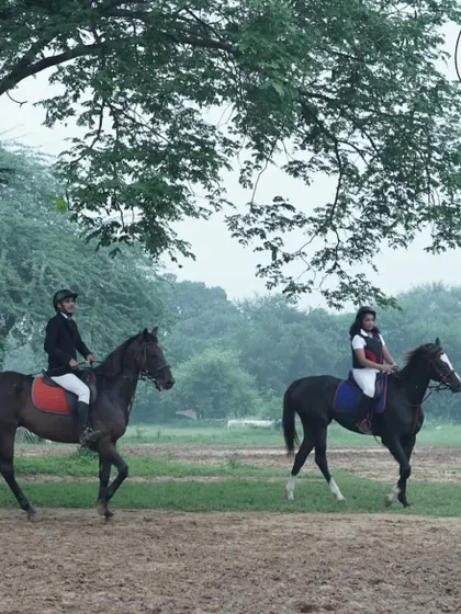 Two riders enjoy a peaceful ride through a tree-lined path at our facility, a perfect example of a relaxing trail ride.