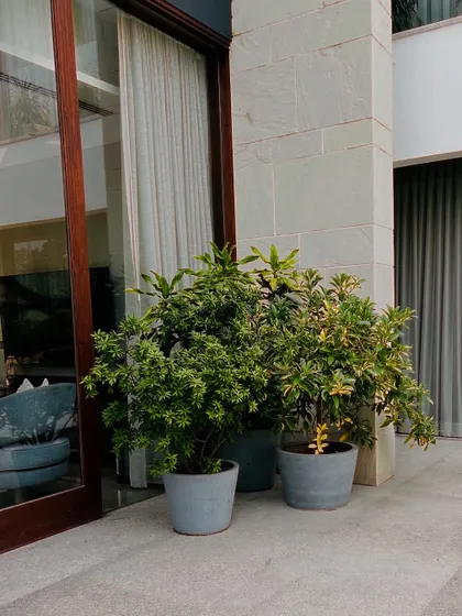 The reflection in the glass doors shows the seamless integration of the home with its green surroundings.