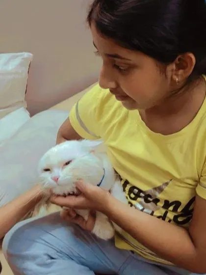 Another photo showing the cat is relaxed and comfortable after its grooming. I know how to handle cats gently to avoid stress.