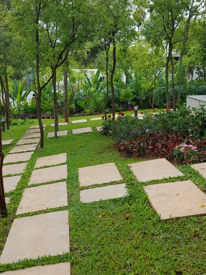 A garden path made of irregularly placed stone slabs set into the lawn, surrounded by young trees and shrubs. This design creates a natural, informal feel.