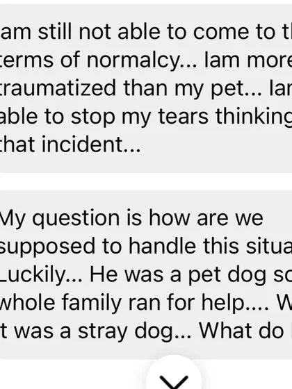 "I am more traumatized than my pet." This message from a client shows the deep emotional toll that an off-leash dog incident can have on a pet parent.