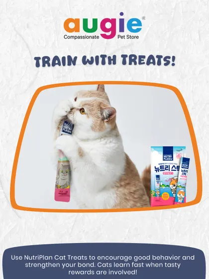 Training isn't just for dogs. Using positive reinforcement with tasty rewards like Nutriplan Cat Treats can help encourage good behavior in your cat and strengthen your bond. Cats learn quickly when a delicious treat is involved.