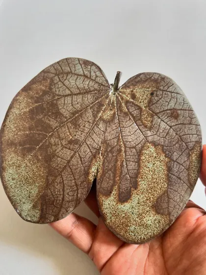 A close-up of a ceramic leaf showing the incredibly detailed vein structure captured from a real Bauhinia leaf.