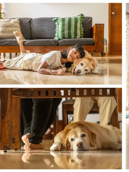 A collage from Mhysa's senior session, showing her relaxing with her family and enjoying her favorite spots around the house.