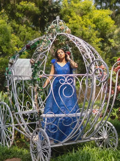 Another shot from the fairytale carriage photoshoot. This gown is all about making dreams come true, even if just for a day.