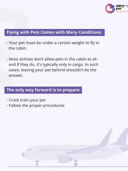 Flying with pets comes with many conditions, like weight limits for in-cabin travel. When cargo is the only option, the best way forward is to prepare your pet properly.