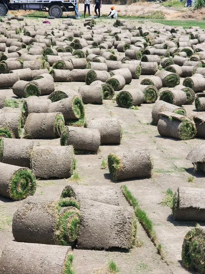 Another angle of our turf rolls, ready for large-scale projects.